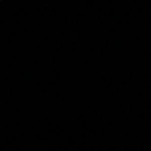 Meet your Posher, Audrey